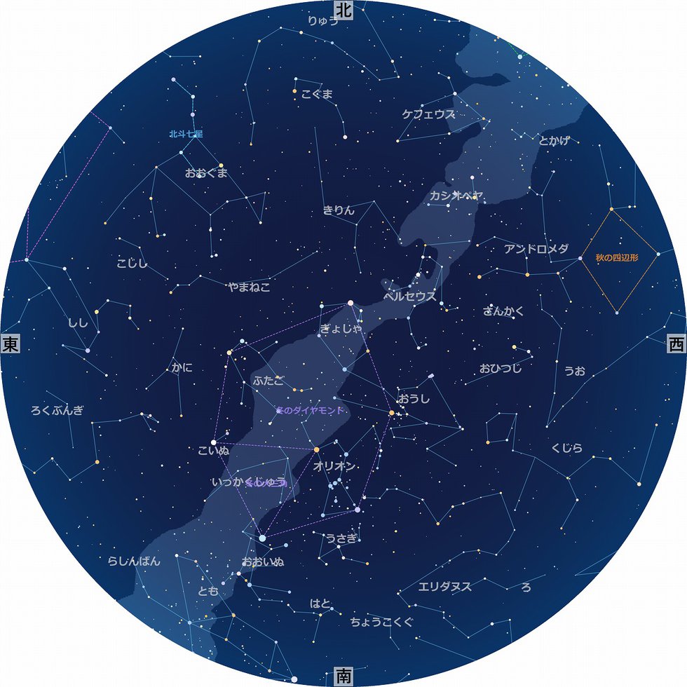 allsky_20250129_2100.jpg